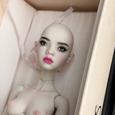 Robin Popovy Sisters