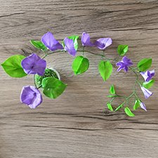 Полметра лета