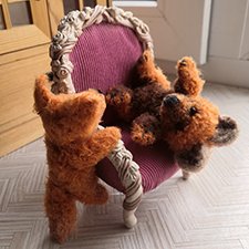 Как сфотографировать непоседливого медвежонка?!