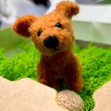 Есть вкусняшки?