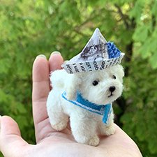 Капитан, капитан, улыбнитесь...