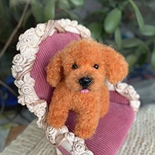 Я НЕ Тотошка!