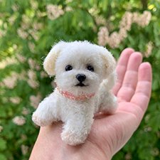 Малышка Сьюзи 🌸🐾