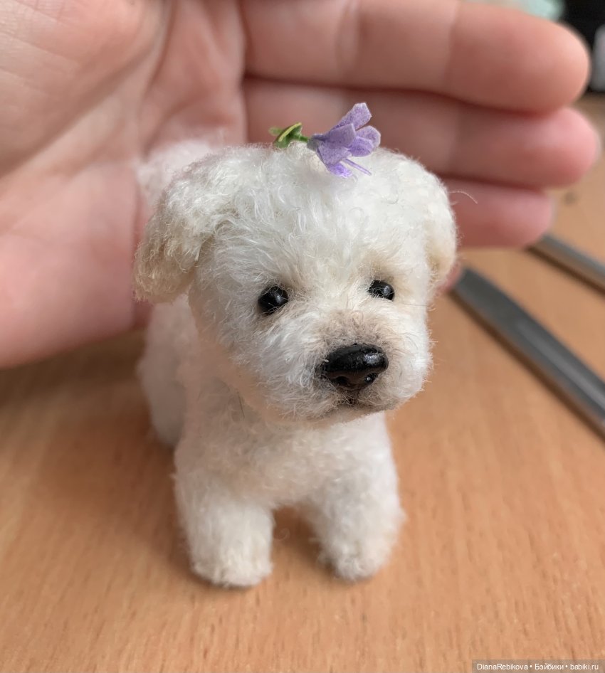 Диситюдмчч