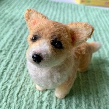 Мальчик корги дождался сестрёнку