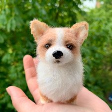 Малышка корги