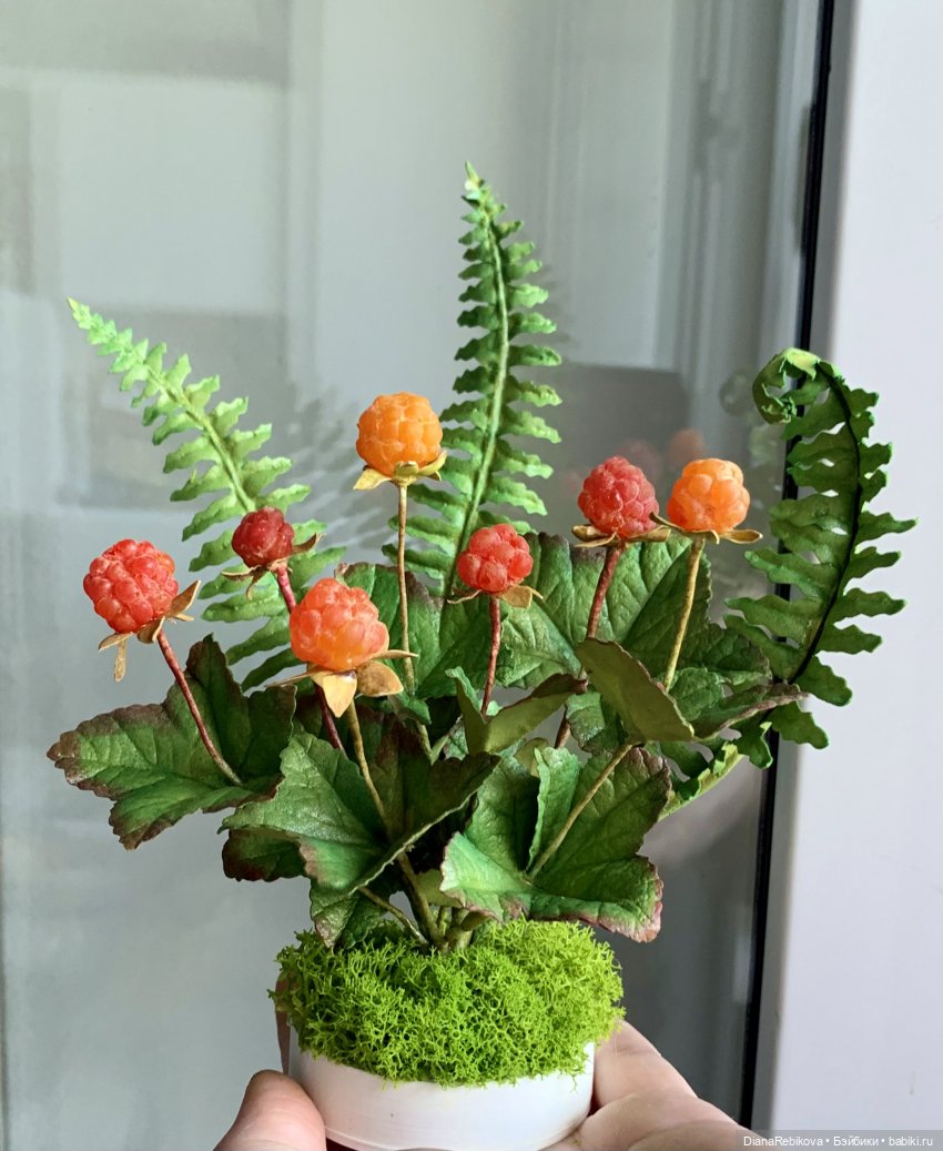 Морошка поспела. Северное солнышко ☀️