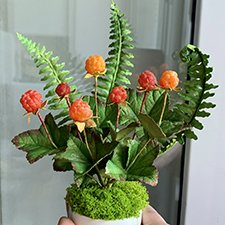 Морошка-светильник