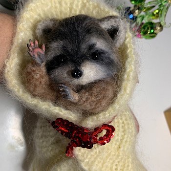 Енотик родился