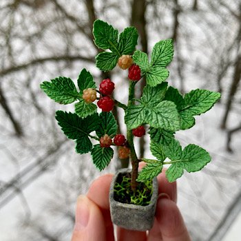 Кустик малины, 9,5 см