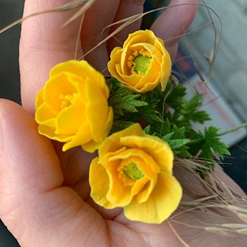 Так хочется простого человеческого …лета 😁