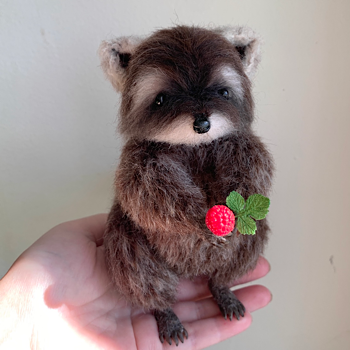 Новый малютка енотик 🤗