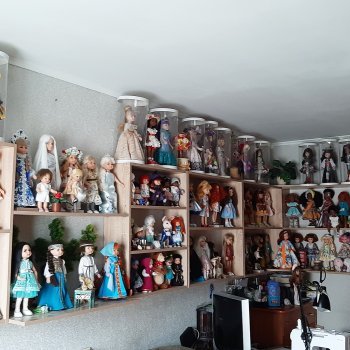 Моя коллекция 2024