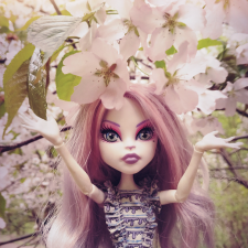 Кэтрин ДеМяу сакура Бирюлёвский дендропарк