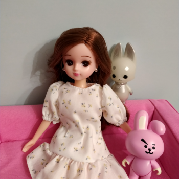 Моя новенькая Licca chan