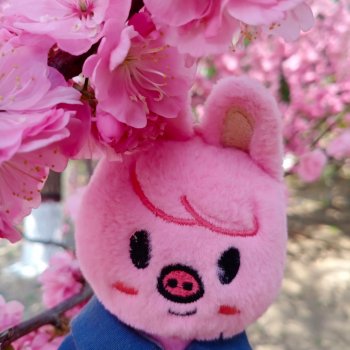 Dwaekki в Ботаническом саду