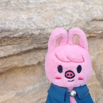 Dwaekki на прогулке в парке Нанчан