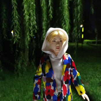 Вечерняя прогулка Сок Чжина