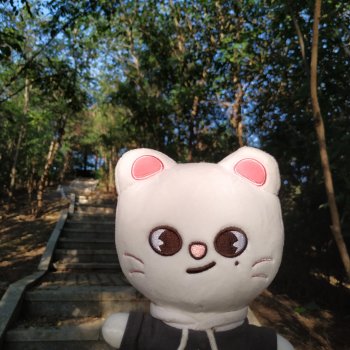 Jiniret прогулка в солнечный день или хорëк от хандры