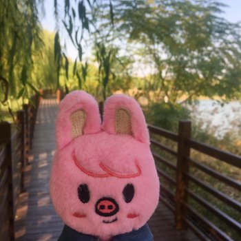 Dwaekki, Осенняя игра света