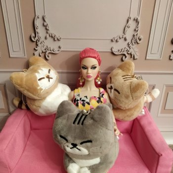 Доверься кошкам