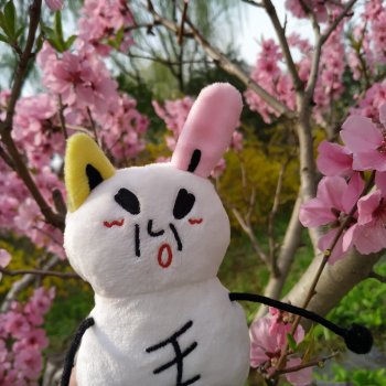 Весенний этюд с Джурыми