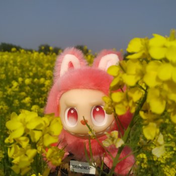 Игнатьевна в эстетике китайской золотой весны