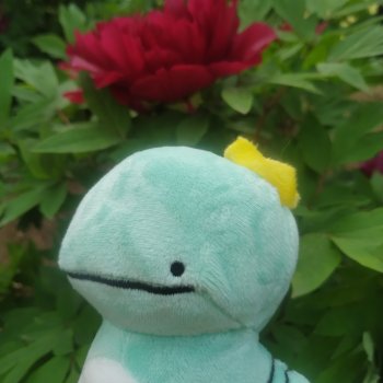 Чанидора исследует парк