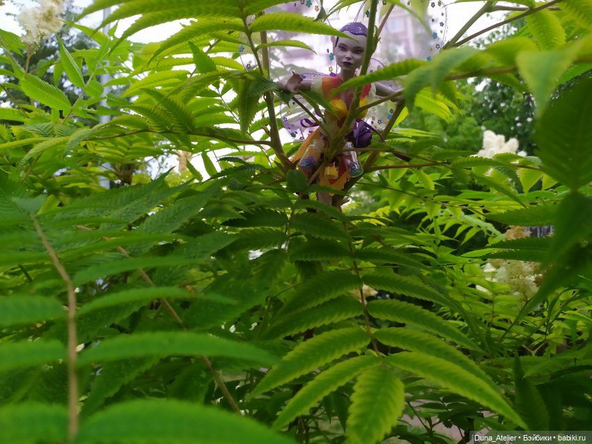 У нас лесные феи появились