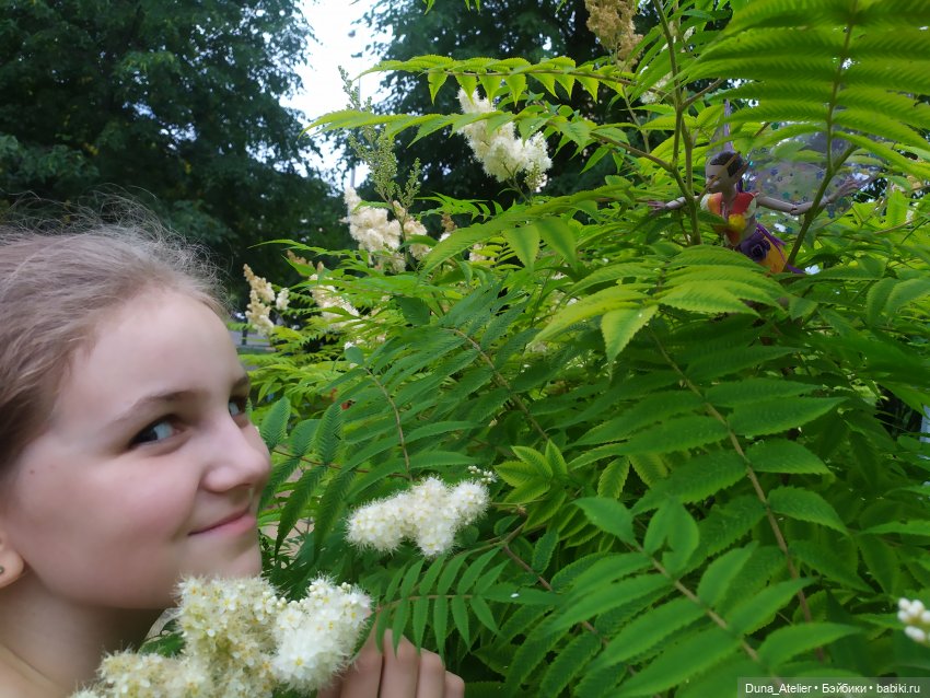 У нас лесные феи появились (фото 2)