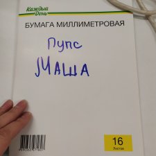 Никогда не говори никогда