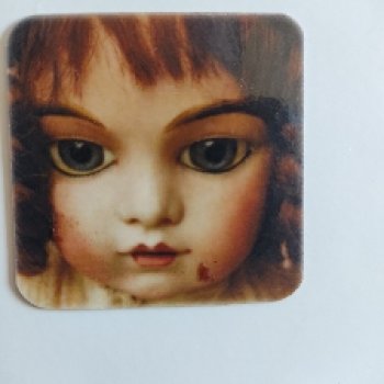 Опознание с фото на магнитике на холодильник