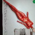 Прозрачный комбез "red&gold"  на pasha mini