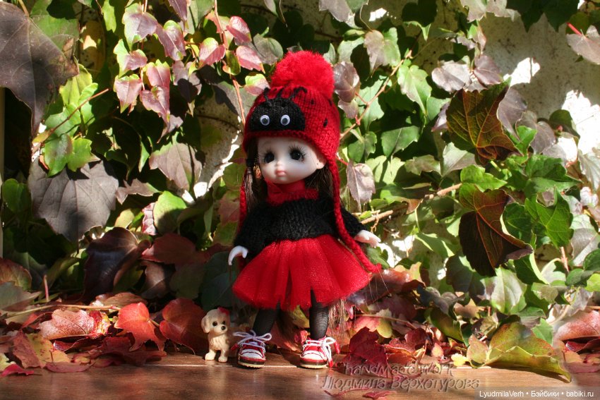 Божья коровка — Куклы Baboliy (Баболи (фото 2)