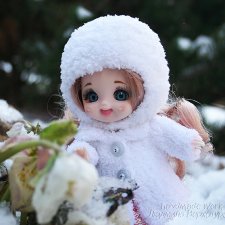 Цветы на морозе