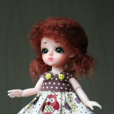 Сезон на рыжиков