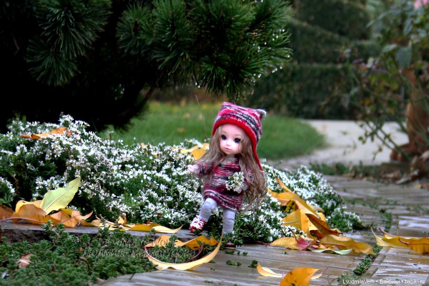 Моя осень — Разные шарнирные куклы (не БЖД): редкие