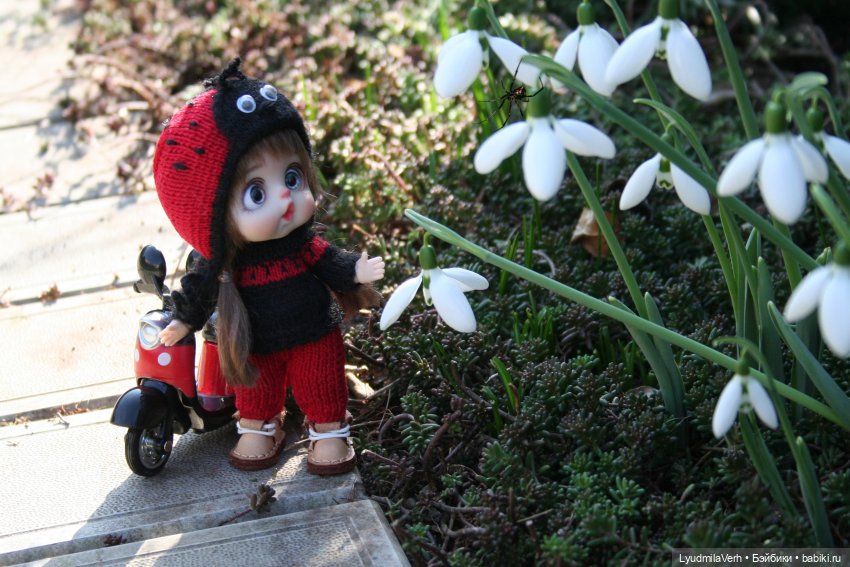 День полёта божьих коровок (фото 3)