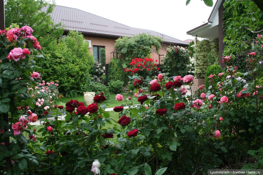 Без пяти минут ЛЕТО | Бэйбики Без пяти минут ЛЕТО — Коллекционные экшн (фото 2)