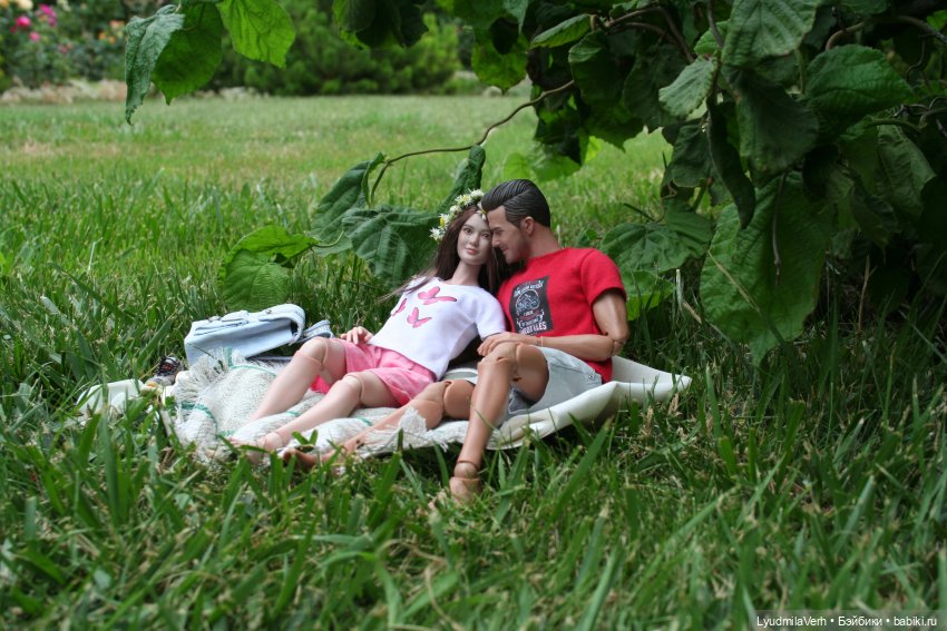 Пикник — Коллекционные экшн