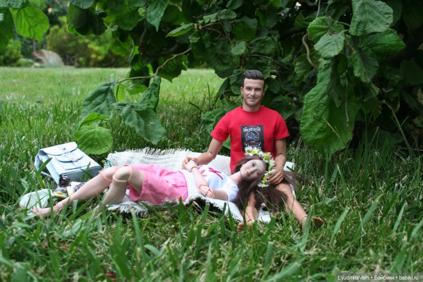 Пикник — Коллекционные экшн