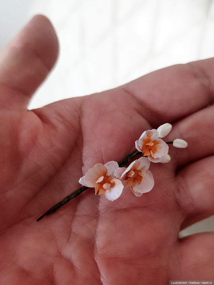 Я не волшебник, я только учусь (фото 10)