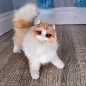 Если в доме нет кота