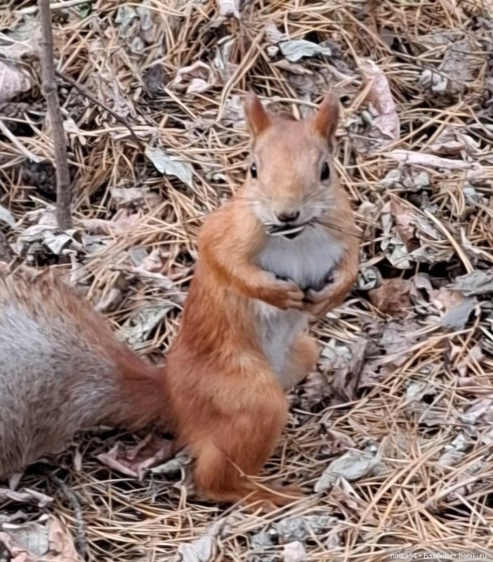 Вместе весело шагать - 2 — Куклы Paola Reina (Паола Рейна): новинки (фото 2)