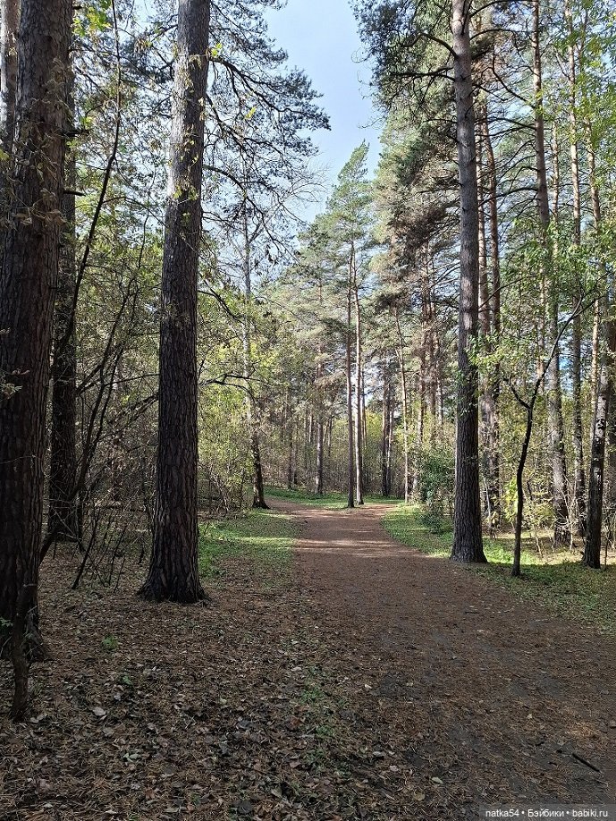 Вместе весело шагать - 2 — Куклы Paola Reina (Паола Рейна): новинки
