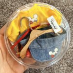 Комплект Rada .