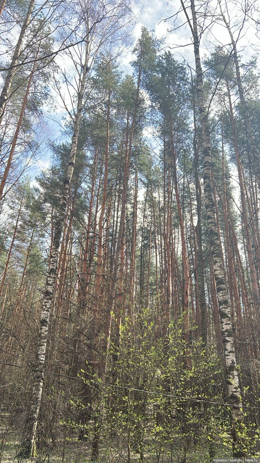 Ёшка. Просто Ёшка — Игровые куклы разных производителей (Разное): редкие бренды (фото 6)