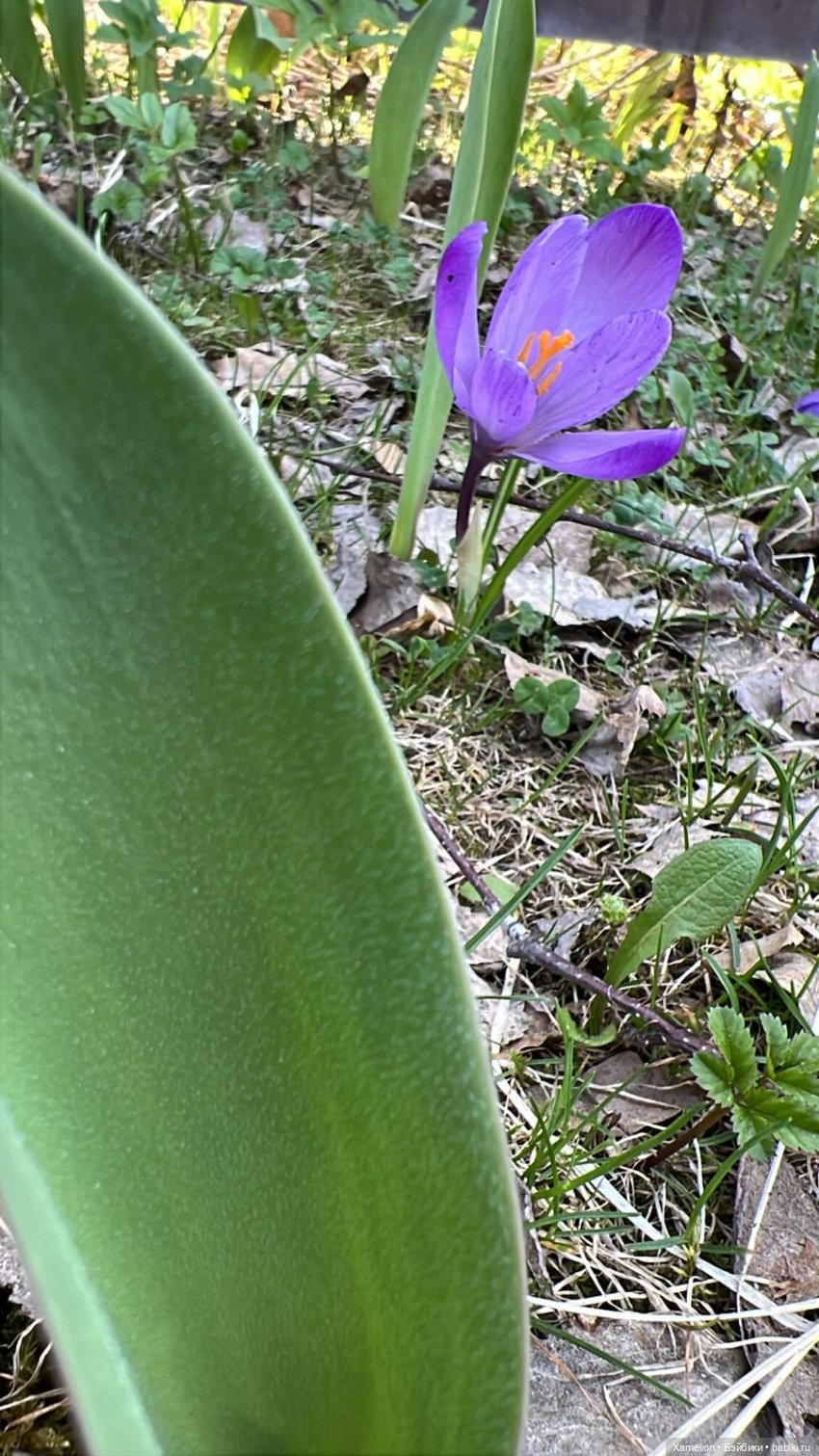 Ёшка. Просто Ёшка — Игровые куклы разных производителей (Разное): редкие бренды (фото 5)