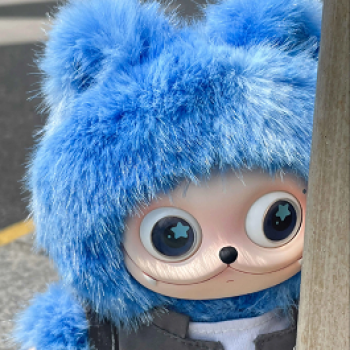 Новая Звездочка