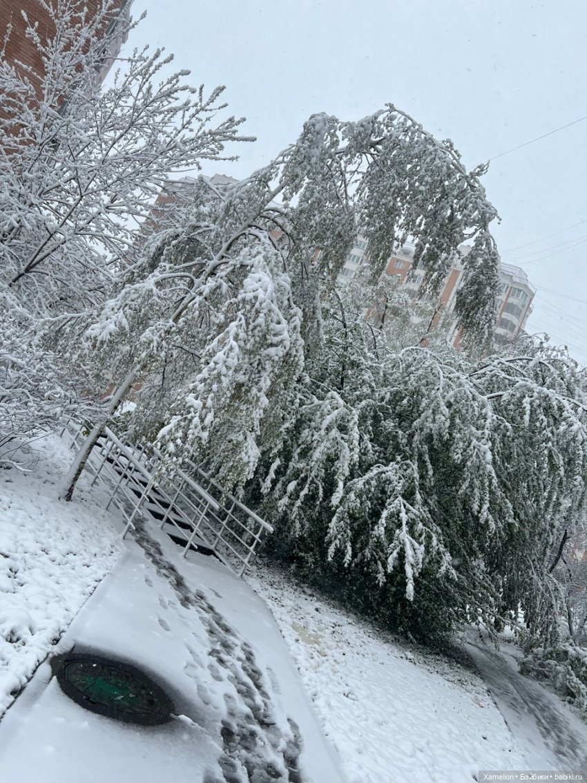 Московская Весна — Болталка и разговоры обо всем: жизнь
